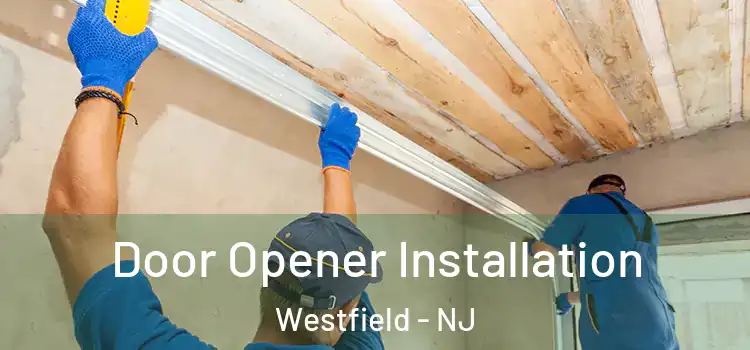  Door Opener Installation Westfield - NJ